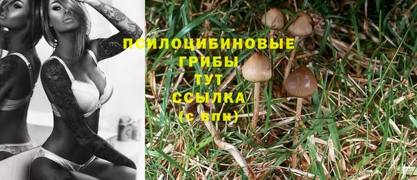 дмт Балабаново